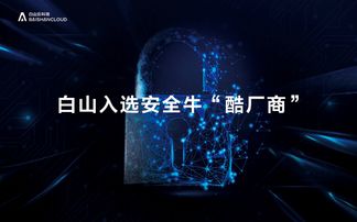 網(wǎng)絡安全行業(yè)全景圖發(fā)布,新晉 酷廠商 白山是誰