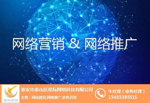 泰安百家號市場怎么樣 泰安百家號 星際網(wǎng)絡 查看